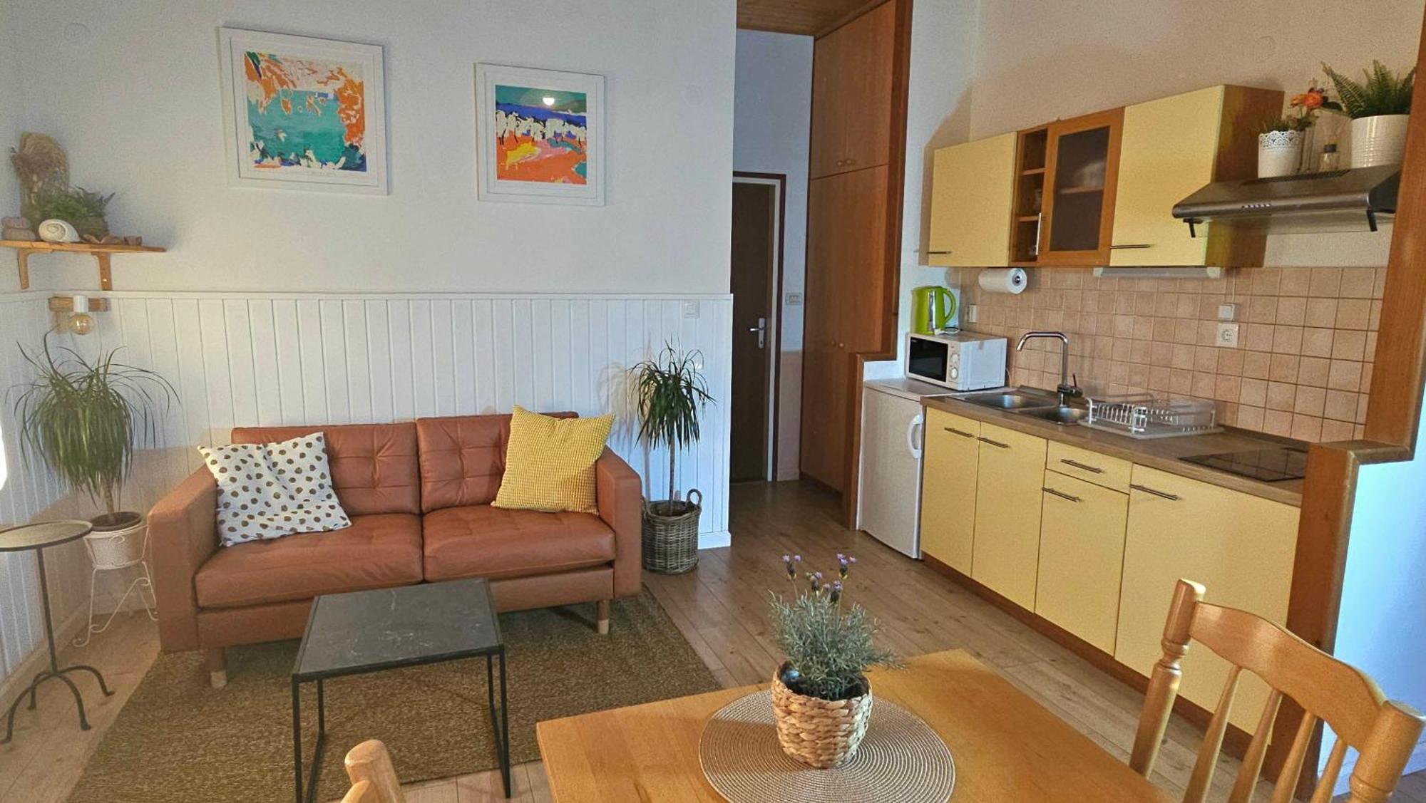 Mladen Apartment *